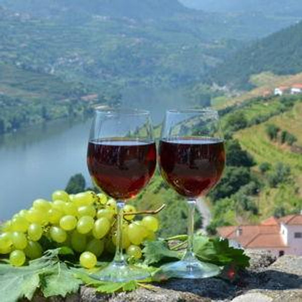 Duoro Valley Port Tasting