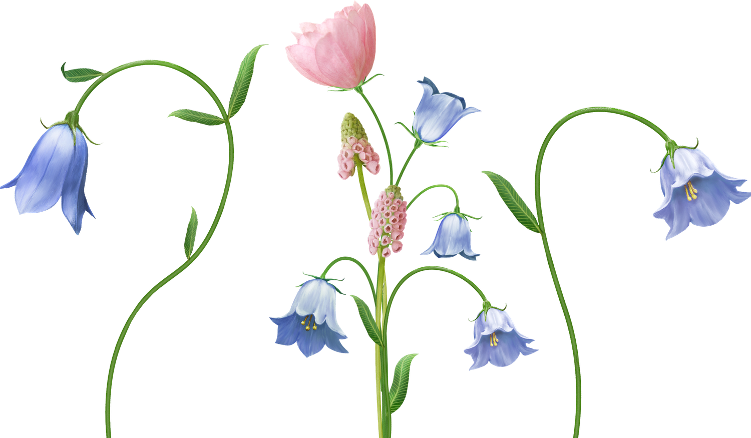 Footer image