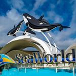SeaWorld San Diego