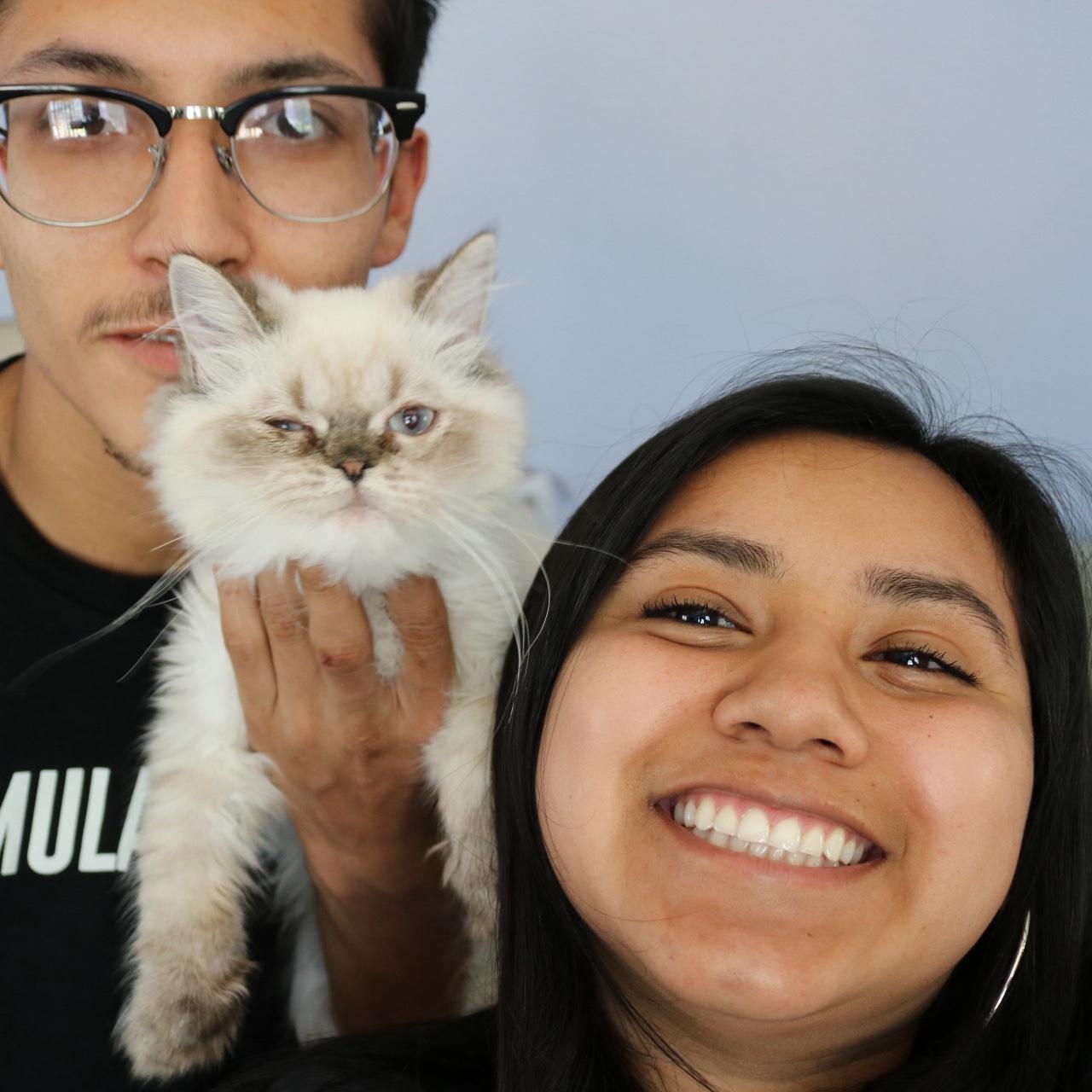 adopted our first cat Milo 2020