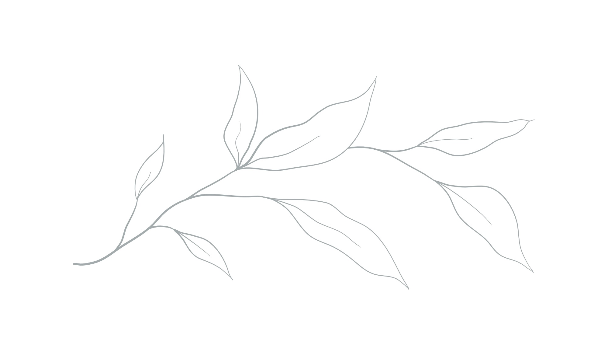 Footer image