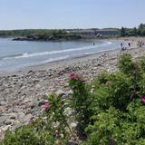 Harbor Beach