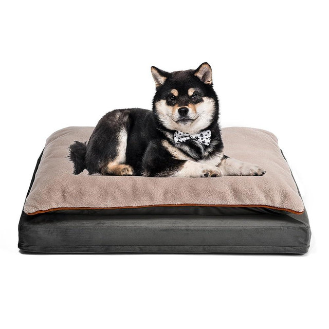 Amazon Basics Dog Bed with Cooling Gel Memory Foam, Pressure-Relief Support for Dogs up to 50lbs, Non-Slip Bottom, Machine Washable Cover, Large Sized (36" x 27"), Grey