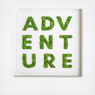 Adventure Moss Framed Live Art
