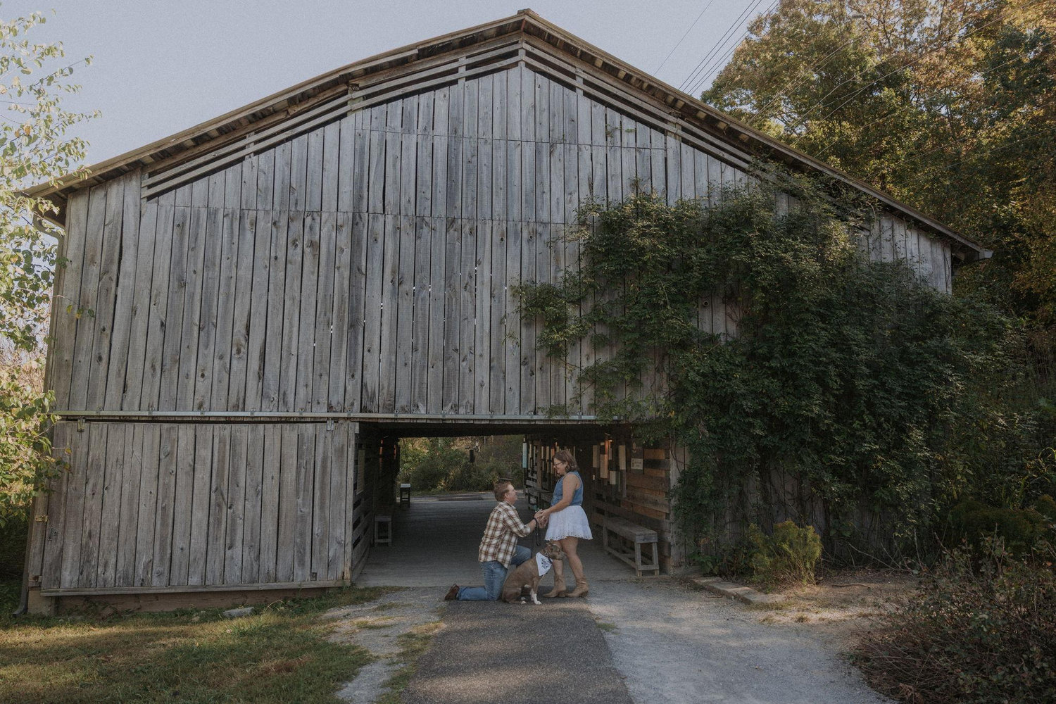 The Wedding Website of Kyrsten Nagypaul and Nicholas Aichele