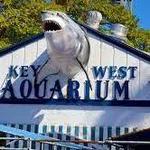 Key West Aquarium