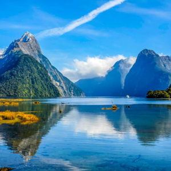 New Zealand Honeymoon Fund