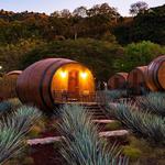 Day trip to Tequila (the town)