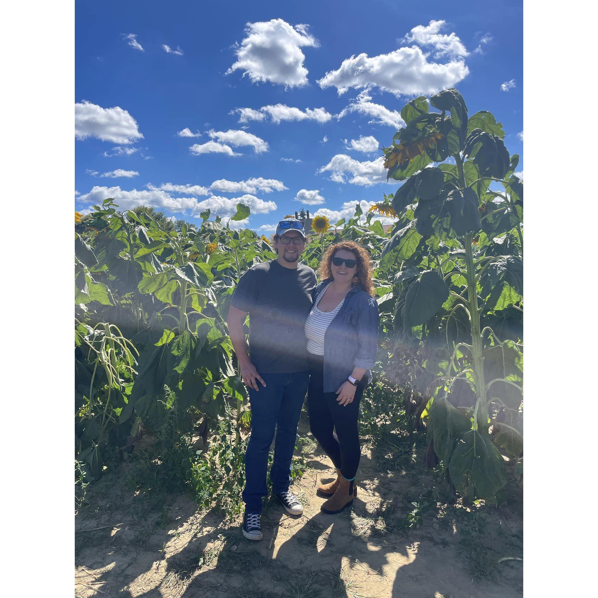 If you need us, you can probably find us in a field of sunflowers.