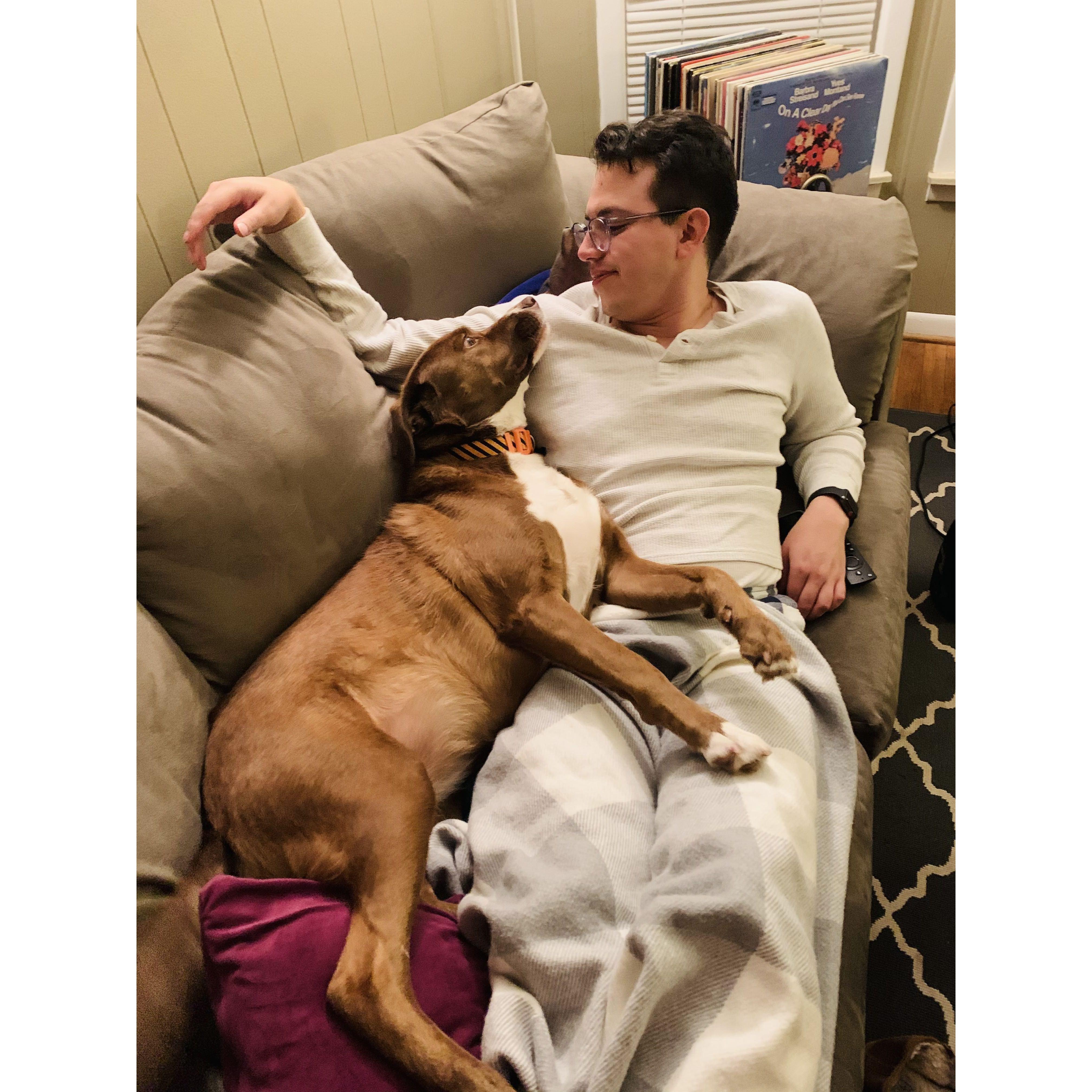 Kylo on the couch with her favorite human