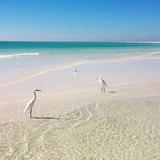 Siesta Key Beach
