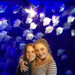 Audubon Aquarium of the Americas