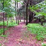 New Marlborough Land Preserve walking trail