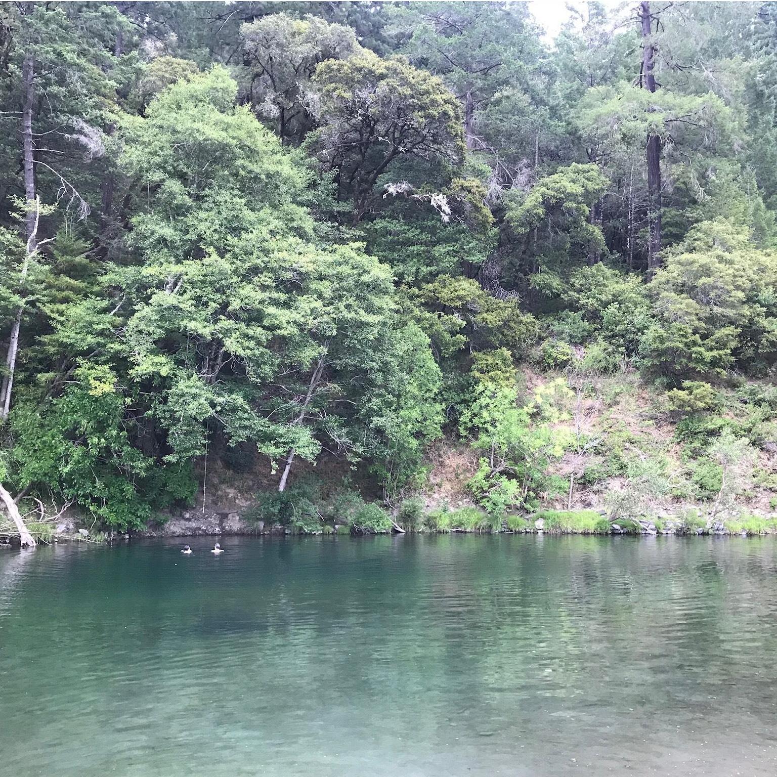 Playing in the south fork of the Eel River in Humboldt Redwoods State Park.