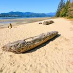 Porpoise Bay Provincial Campground beach day