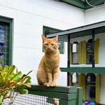 The Hemingway Home and Museum