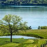 Winery Recommendations