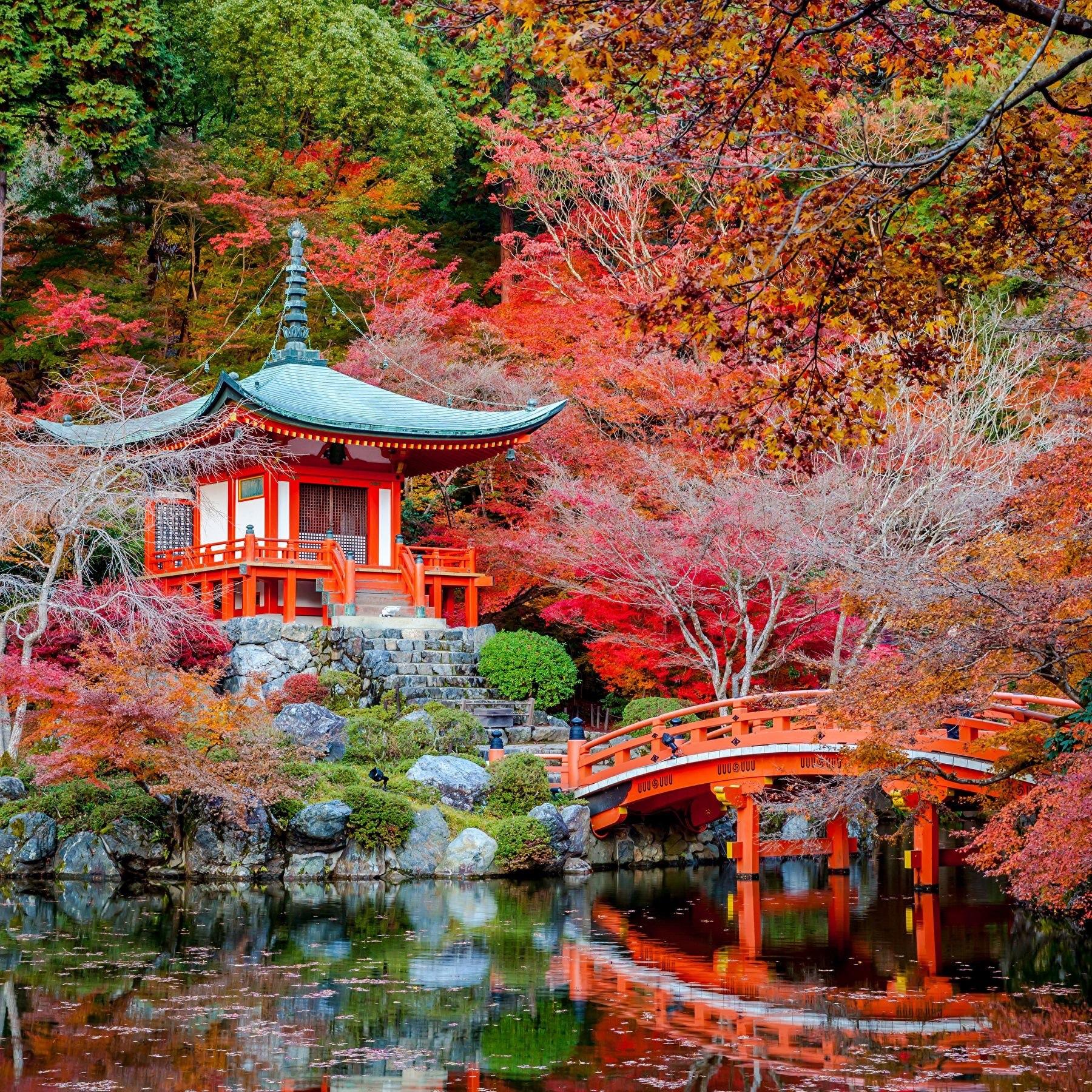 Our Japan Honeymoon Fund