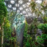 California Academy of Sciences