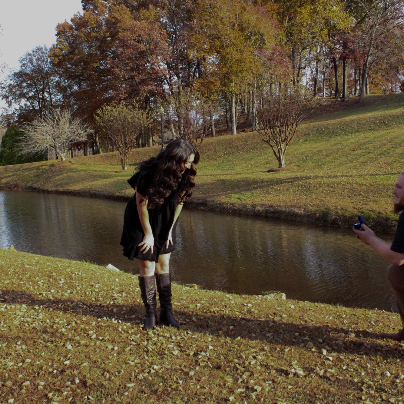 The Proposal 2025