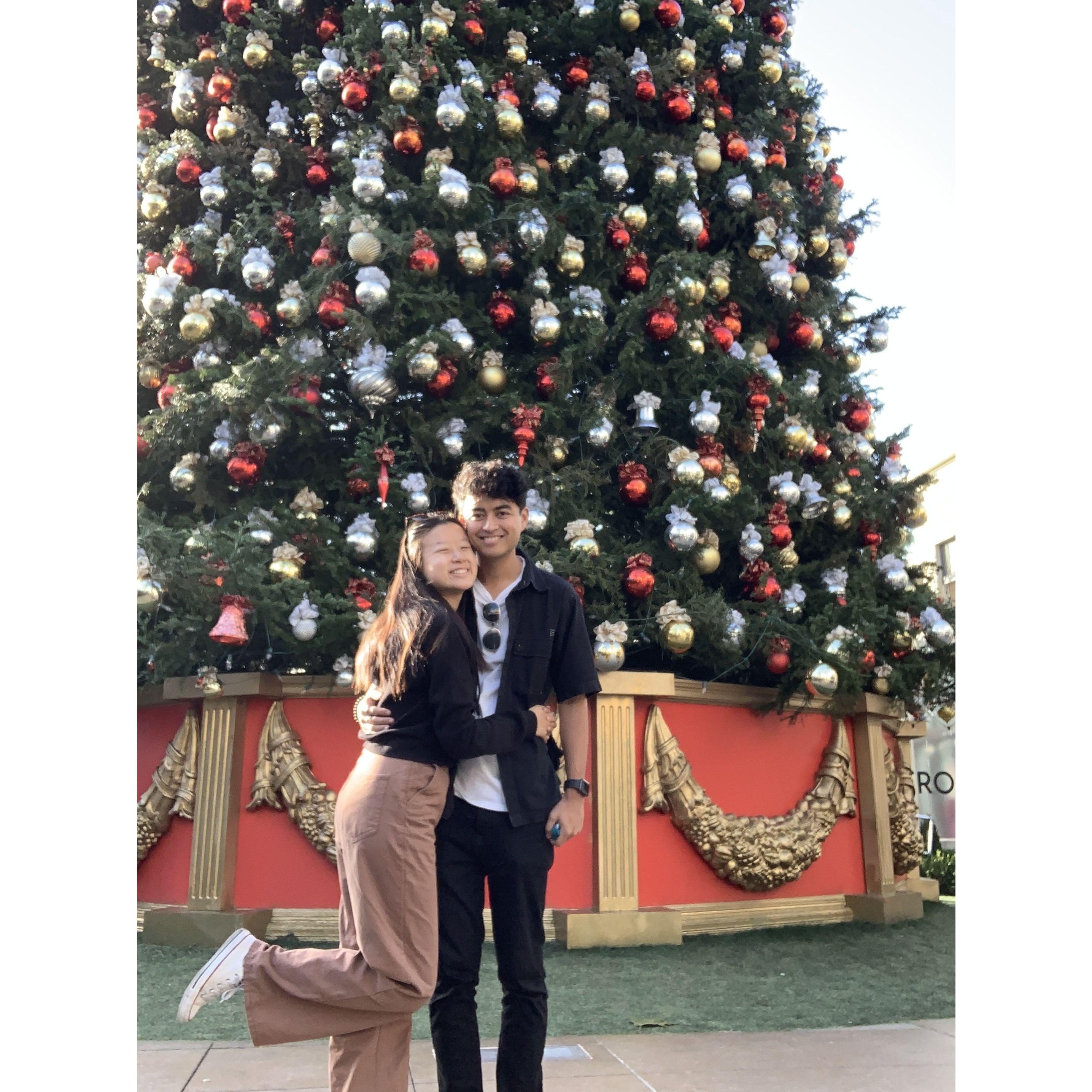 12.01.21. 
Coco’s birthday