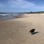 Mansion Beach