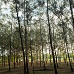 Agoo Eco Park