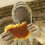 Killer Bees Honey