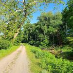 Delaware Canal Trail