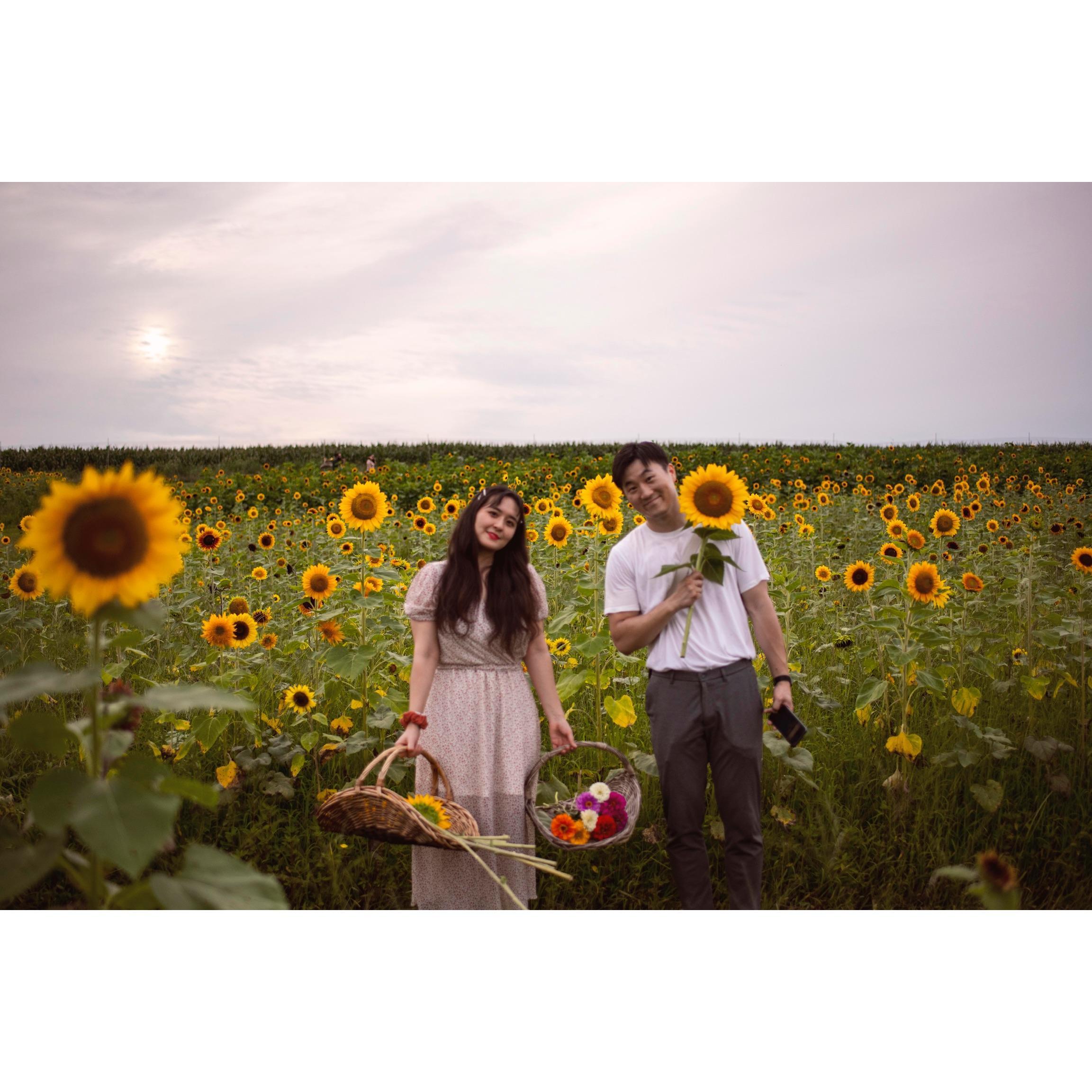Our second Sunflower Date @ Burnside Farm. Many more to come!
Photo by Bruce Lee