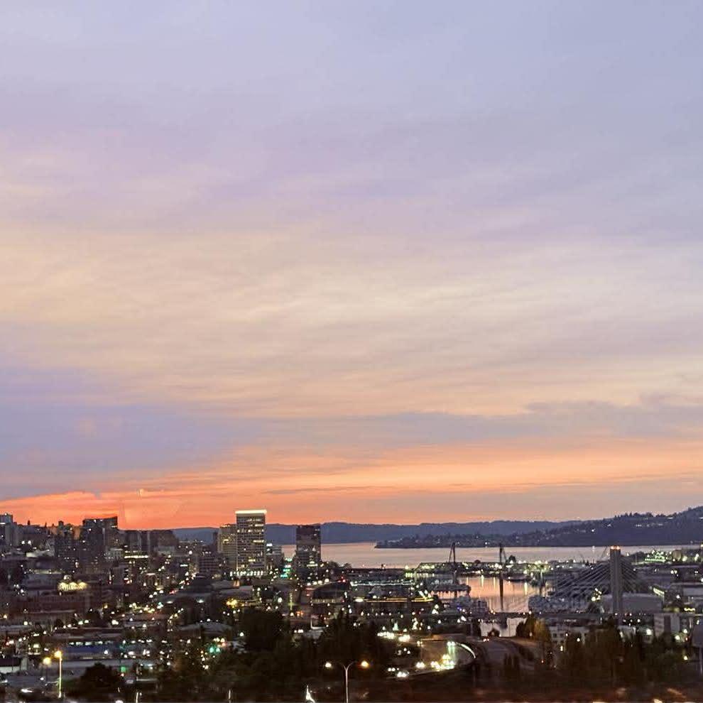 view from Stanley and Seaforts at Sunset
