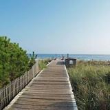 Fire Island