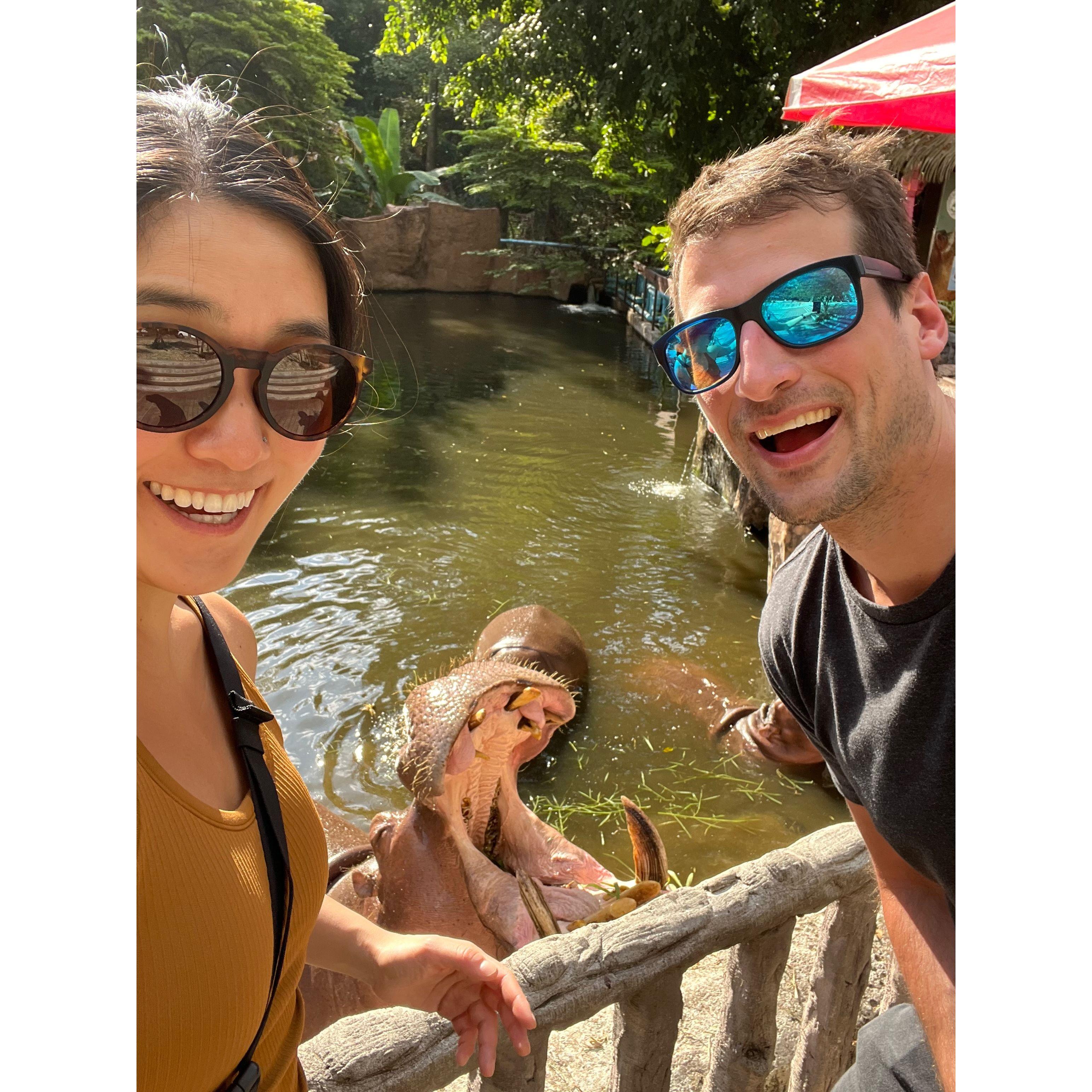 Selfie with hippos