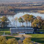 Upper Shirley Vineyards