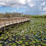 Everglades National Park