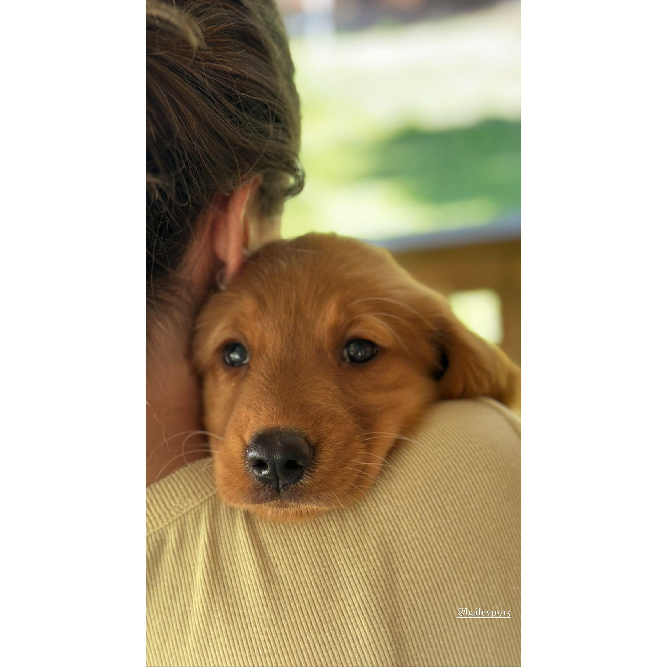 The day Grady joined the fam!