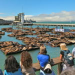 Fisherman's Wharf- Pier 39