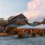 Grandfather Vineyard & Winery