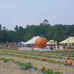 Boone Hall Plantation & Gardens