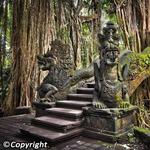 Sacred Monkey Forest Sanctuary