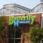 Butterfly Pavilion