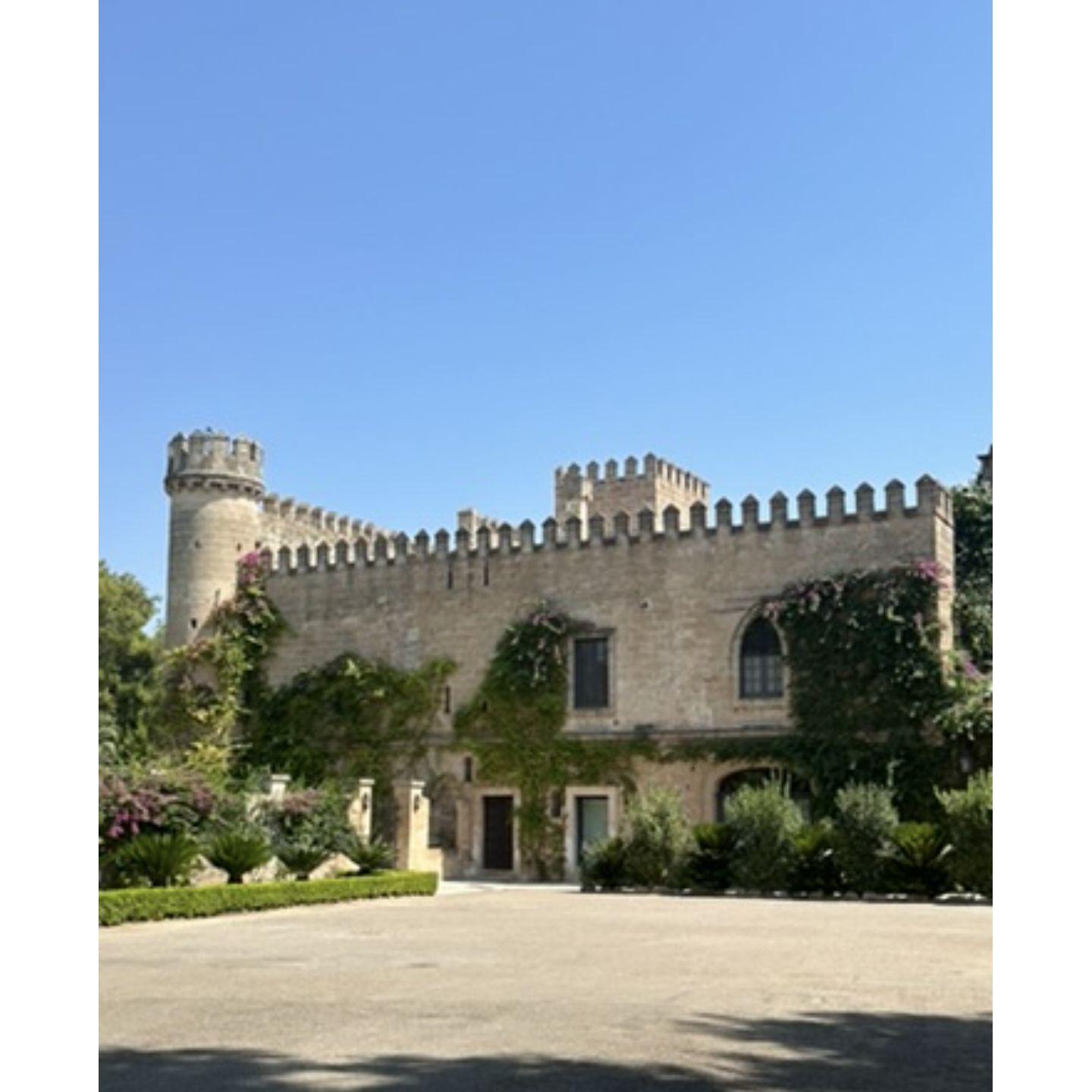 The venue, Castello Monaci