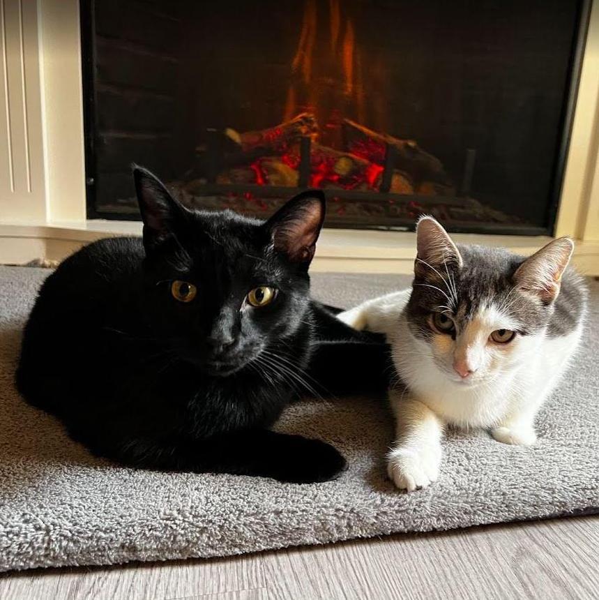 Keanu (Left) and Mako (Right)