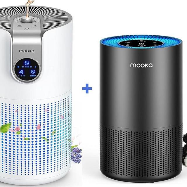 Air Purifiers for Home Large Room with Aromatherapy