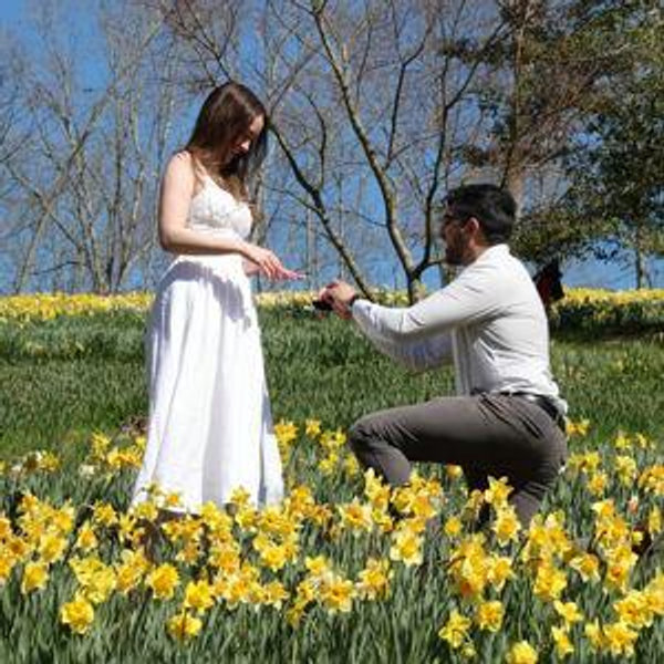 Our newlywed fund
