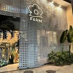 Farm Rio Outlet