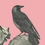 Edgar Allen Poe Museum