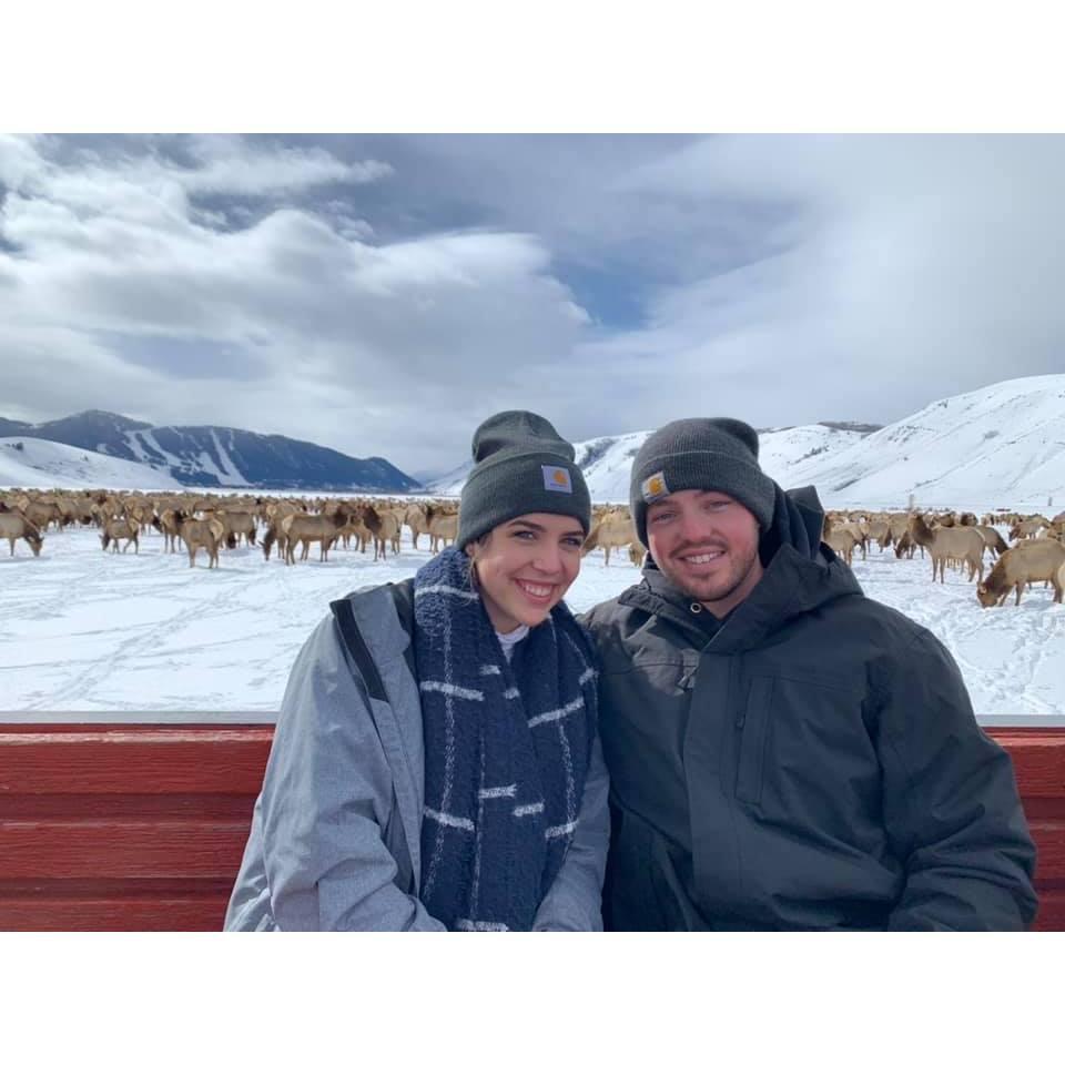 Just over a month into dating, a 1 week trip was taken to Jackson Hole, Wyoming & Yellowstone National Park in February 2021. Many thought we were crazy to plan a trip like this so quickly together!