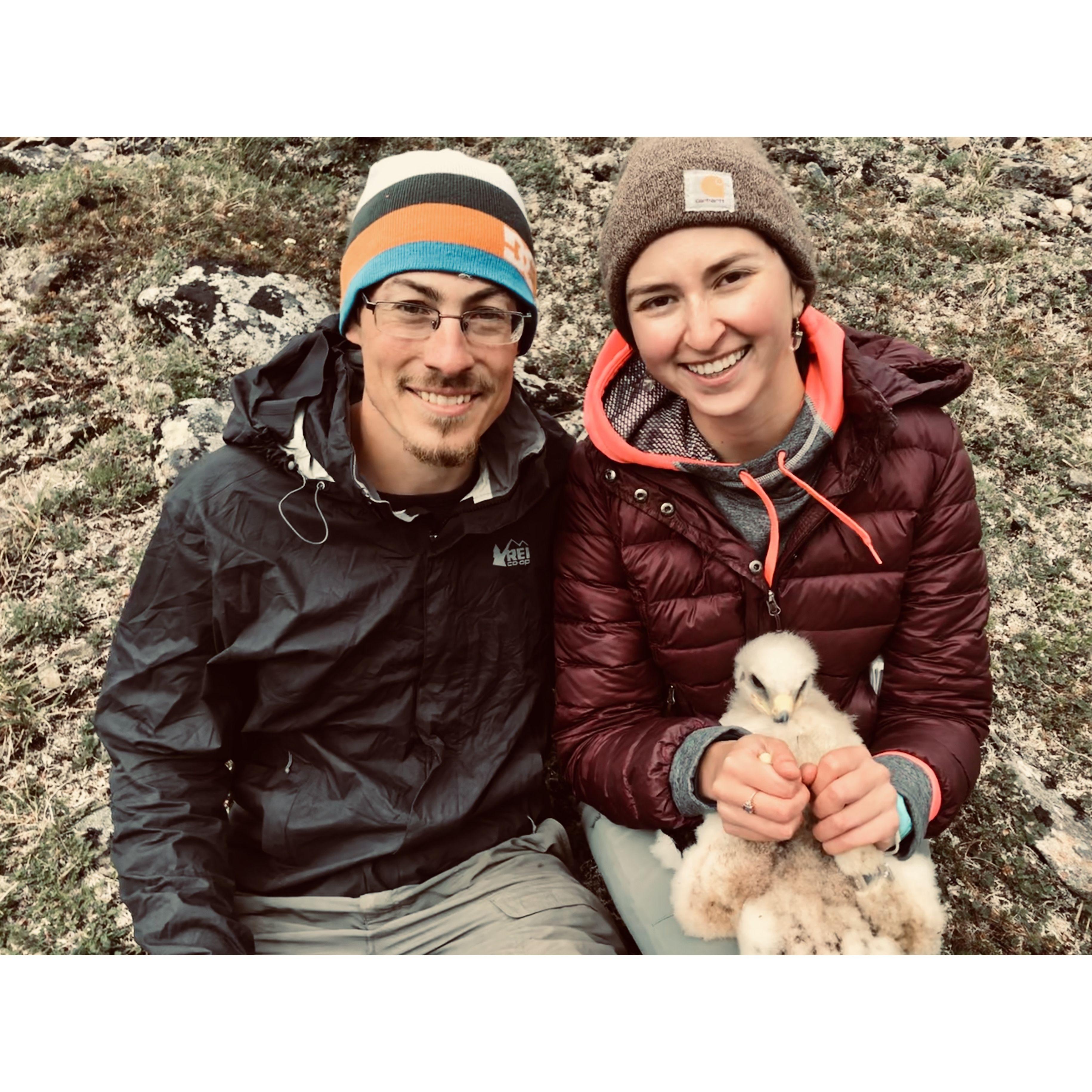 Michael showing Rochelle how to hold a Golden Eagle nestling in Nome