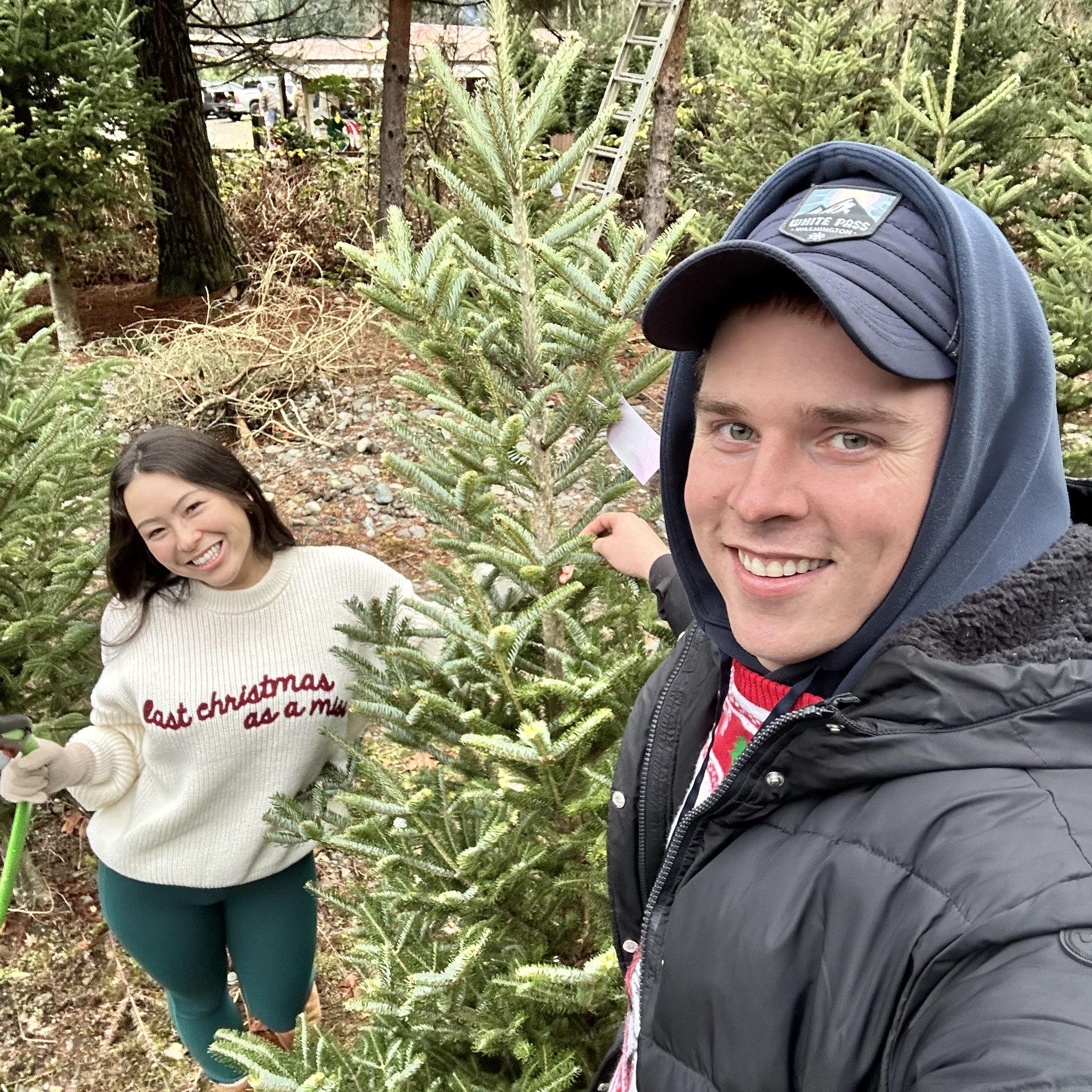 Cutting down our Christmas tree!